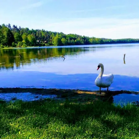 Vakantiehuis Gorskie Kaszuby *